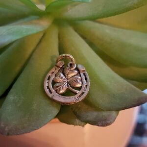 Charming Silver Horseshoe Pendant